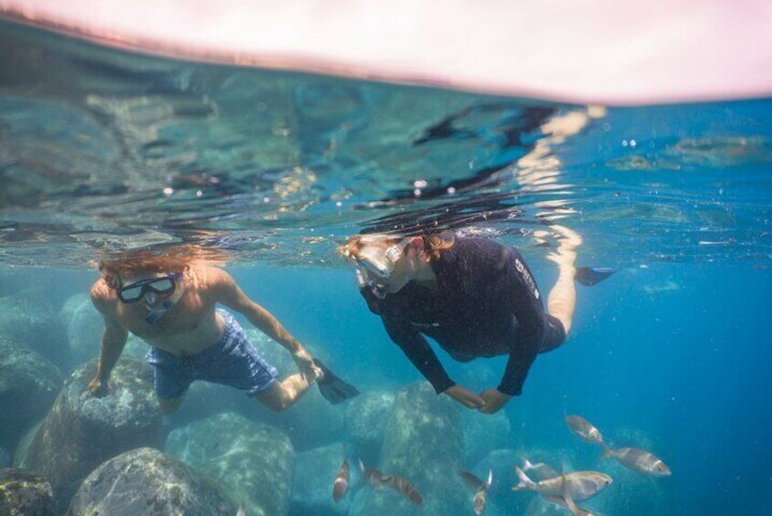 Snorkeling Adventure in the Funchal Eco-Park