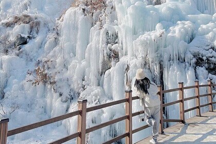 Eobi Ice Valley, Nami Island, Petite France and Morning Calm Tour