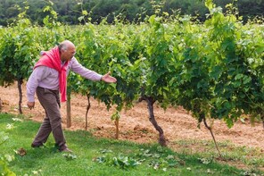 Gourmet Bordeaux Trip from Paris with Wine-Tastings & Lunch