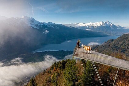 Interlaken Guided Hike to Harder Kulm with Swiss Triathlete