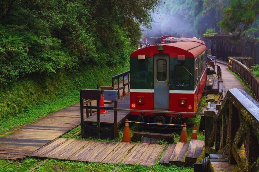 Alishan Private Day Tour from Taichung 