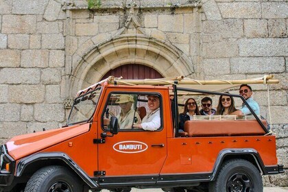 Douro Valley: Safari Wine Tour, Wine Tasting, Lunch, Boat