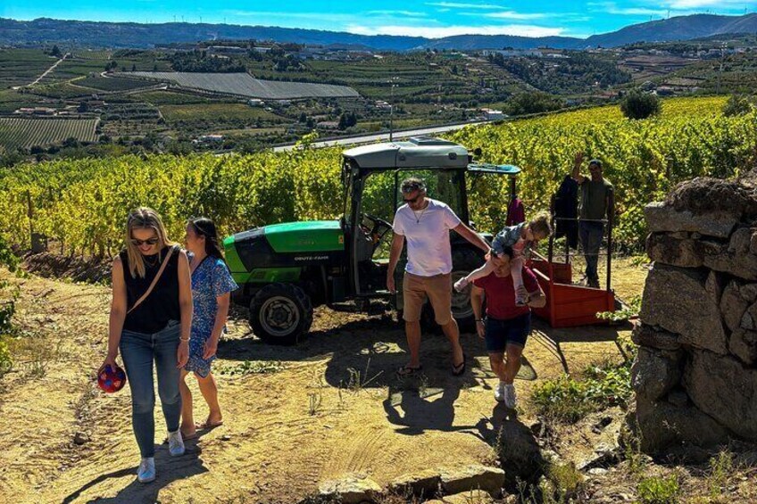  Douro Valley: Safari Wine Tour, Wine Tasting, Lunch, Boat