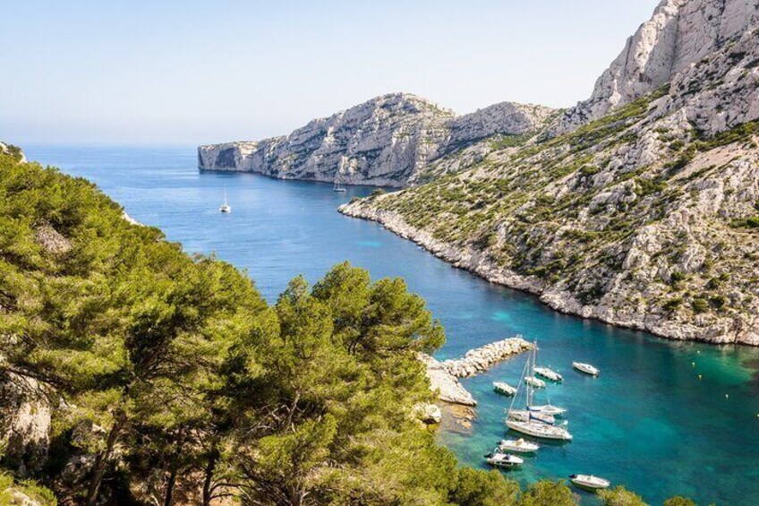 The cove