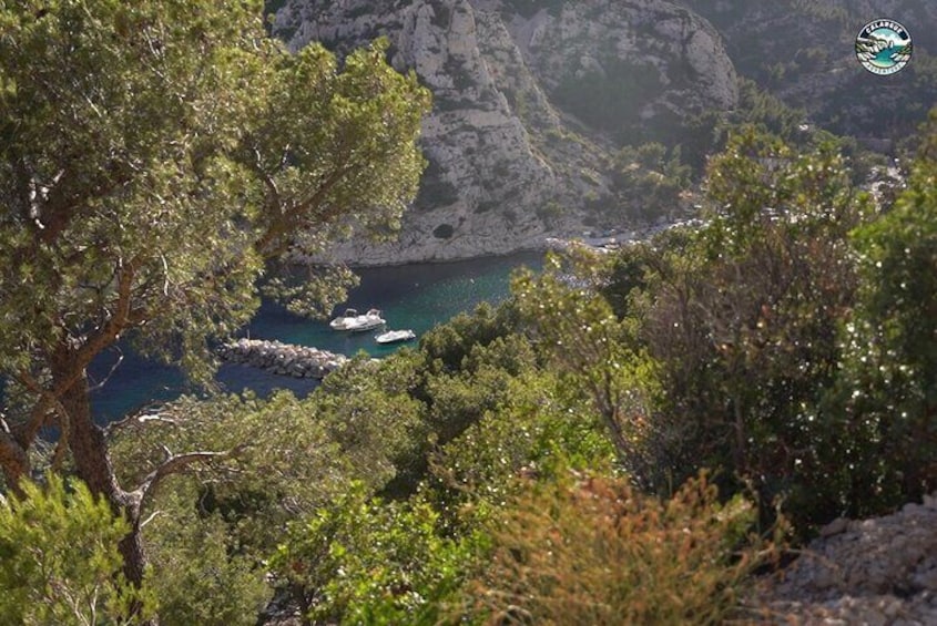 The port