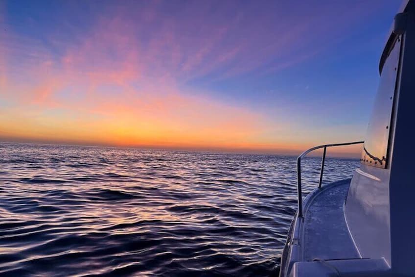 Traditional Squid and Cuttlefish Fishing in Algarve