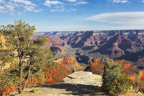 Grand Canyon - Day Tour
