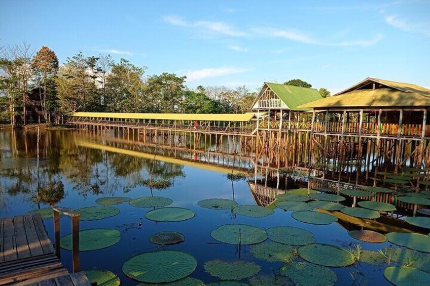 Lotus Flower Nature Reserve