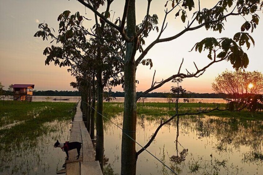 Sunset from the lotus flower reserve 