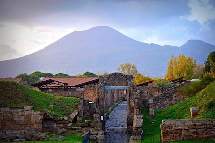 Discover Pompeii in a Private Audio and Video Guided Tour