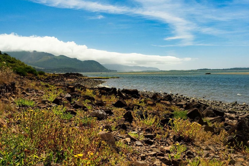 Explore the Oregon Coast: Self-Guided Driving Audio Tour