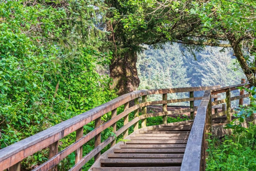 Explore the Oregon Coast: Self-Guided Driving Audio Tour