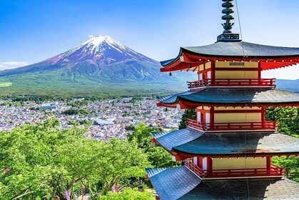 Mt.Fuji Arakurayama Sengen Park,Oishi Park, Kawaguchi Lake Tour