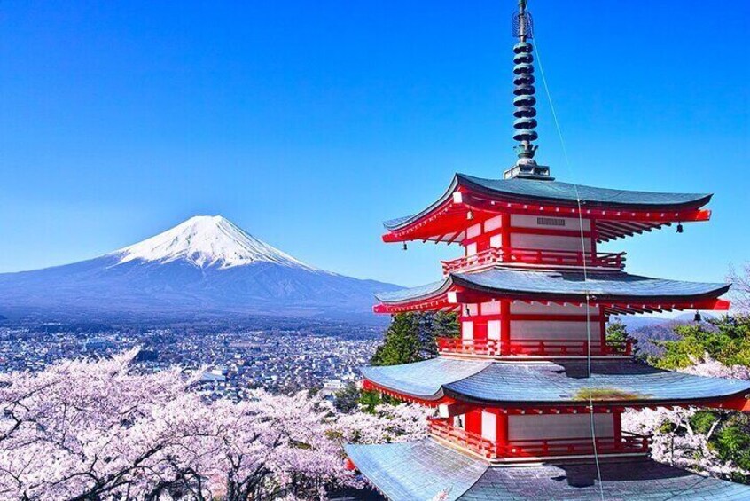 Mt.Fuji Arakurayama Sengen Park,Oishi Park, Kawaguchi Lake Tour