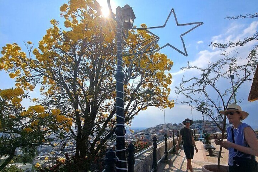 Best Highlights in Guayaquil
