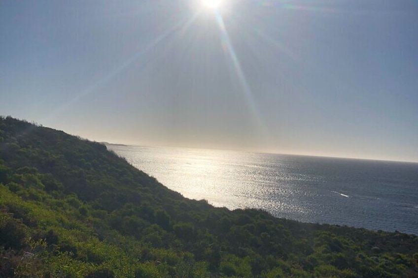 Rottnest Island Sunset Tour