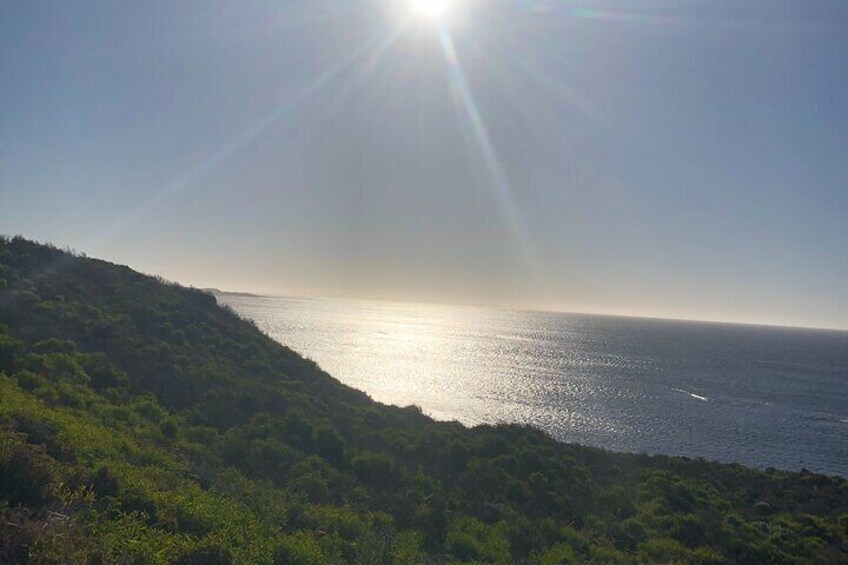 Rottnest Island Sunset Tour