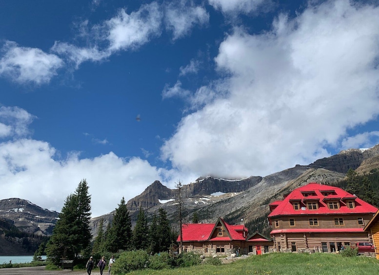 Picture 3 for Activity From Calgary: Columbia Icefield, Bow Lake & Peyto Lake Trip