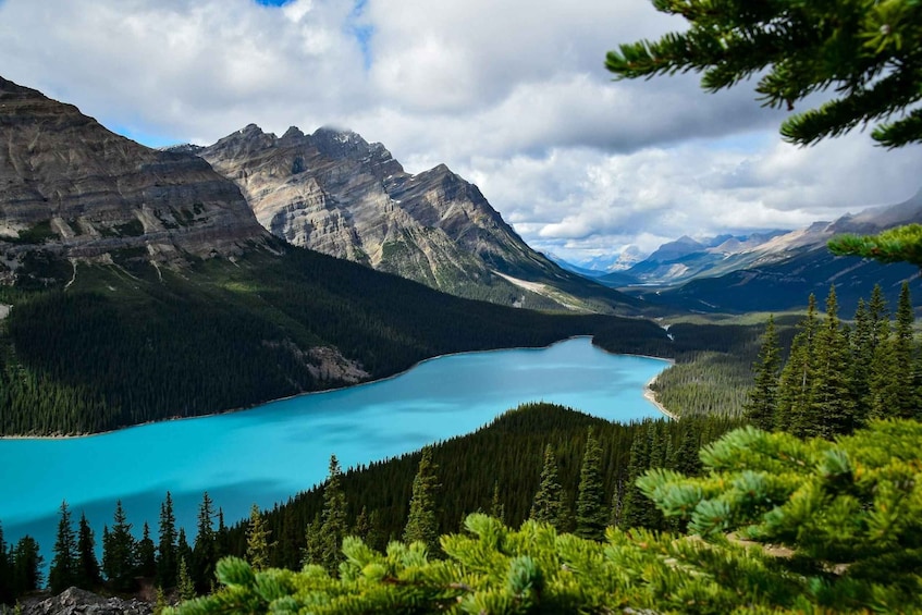 Picture 1 for Activity From Calgary: Columbia Icefield, Bow Lake & Peyto Lake Trip