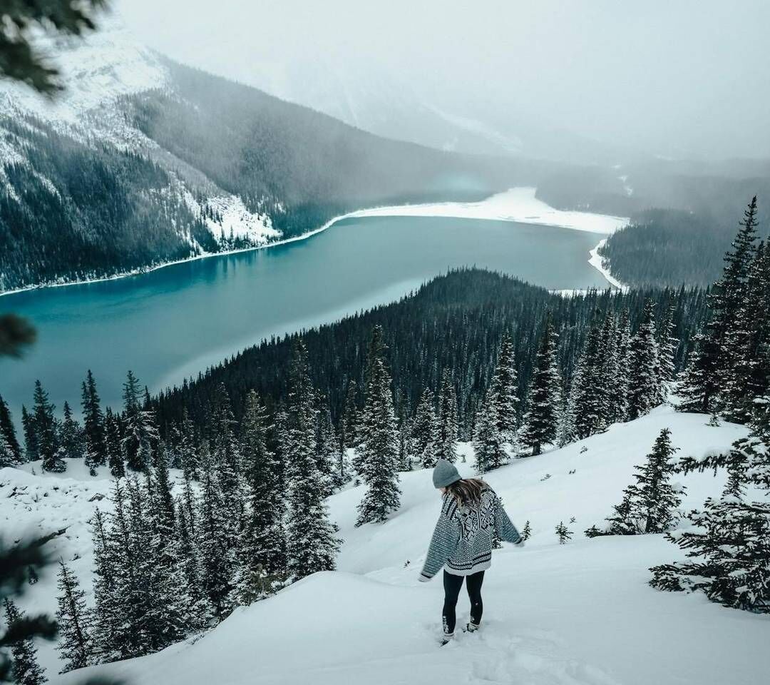 Banff: Lake Louise, Marble Canyon, Bow Lake, Peyto Lake Tour