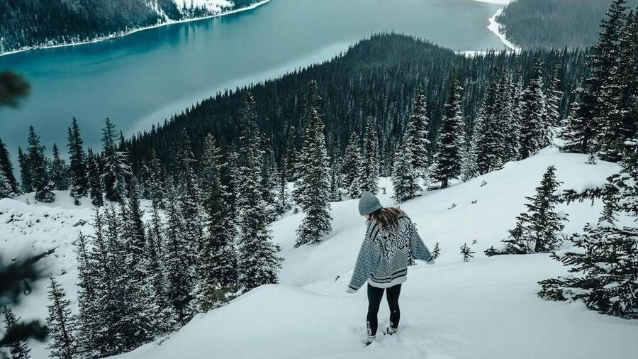 Banff: Lake Louise, Marble Canyon, Bow Lake, Peyto Lake Tour