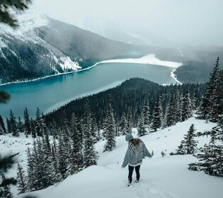 Banff: Columbia Icefield, Skywalk, Parkway, Bow & Peyto Lake