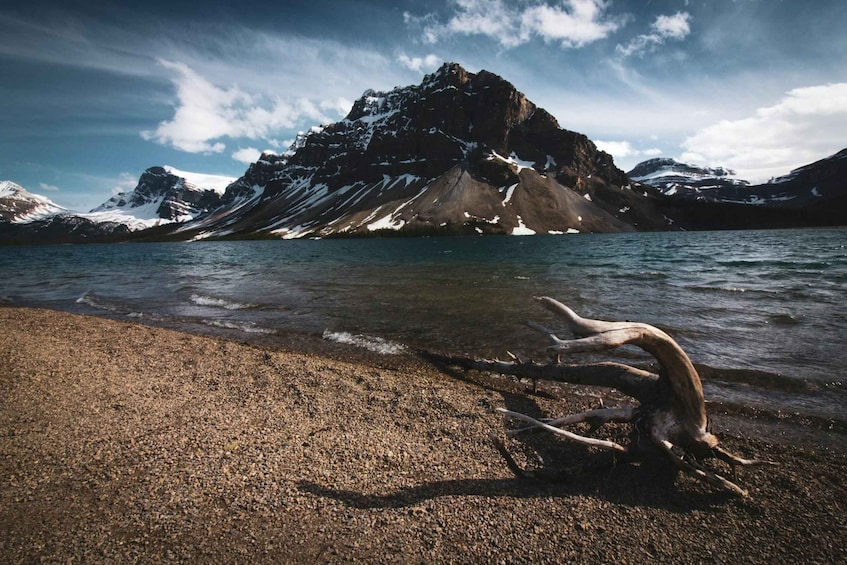 Picture 4 for Activity From Calgary: Columbia Icefield, Bow Lake & Peyto Lake Trip