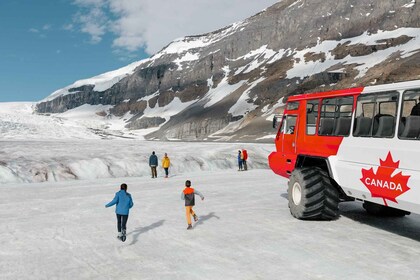 Banff: Columbia Icefield, Skywalk, Parkway, Bow & Peyto Lake