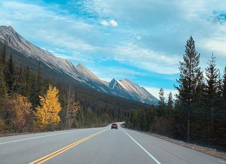 Picture 2 for Activity From Calgary: Columbia Icefield, Bow Lake & Peyto Lake Trip