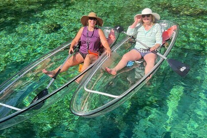 Clear Kayak Spring & Manatee Tour Crystal River with Free Photos