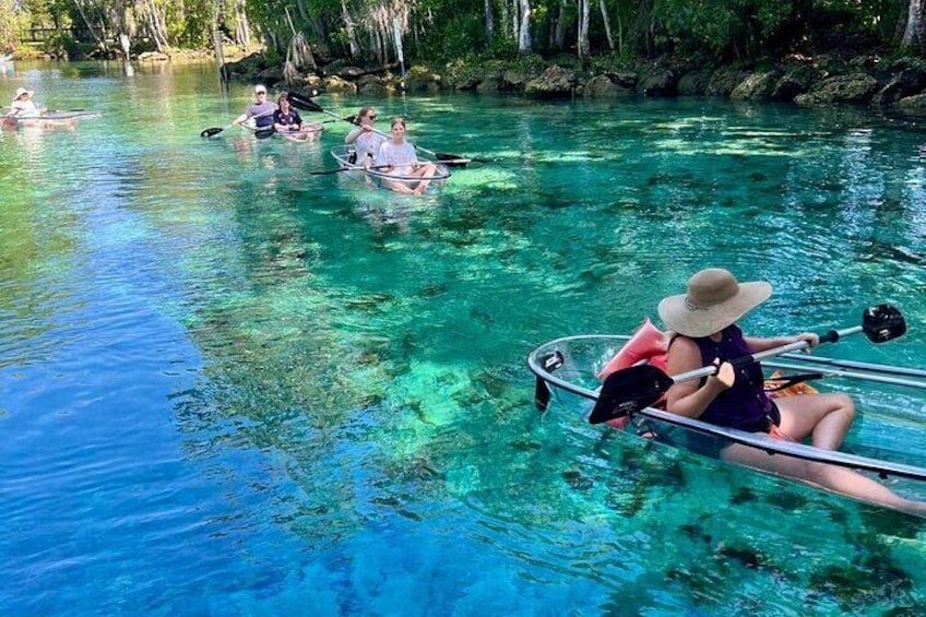 Clear Kayak Spring & Manatee Tour Crystal River with Free Photos