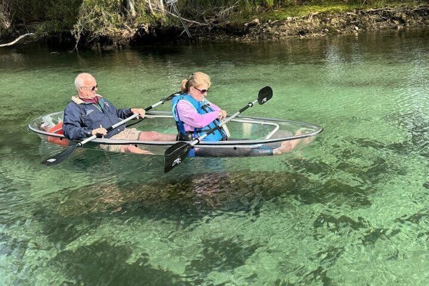 Clear Kayak Spring & Manatee Tour Crystal River with Free Photos