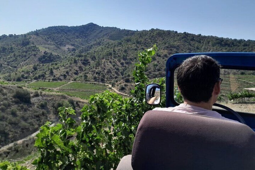 Priorat: Jeep tour & Foodies Lunch from Barcelona