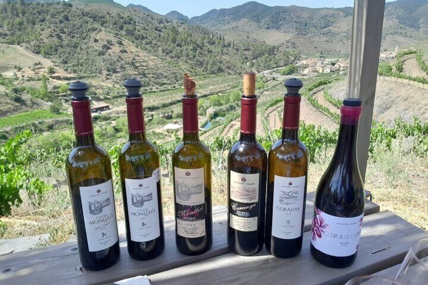 Priorat: Jeep tour & Foodies Lunch from Barcelona