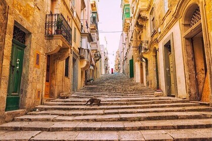 Valletta : Must-See Attractions Walking Tour