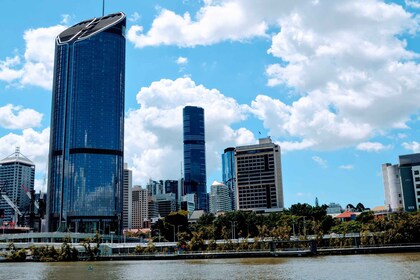 Brisbane: Sightseeing-krydstogt på Brisbane-floden om eftermiddagen