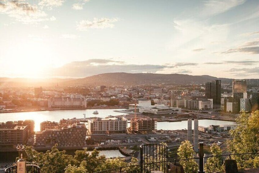 Private Walking Tour in Oslo with Personal Guide