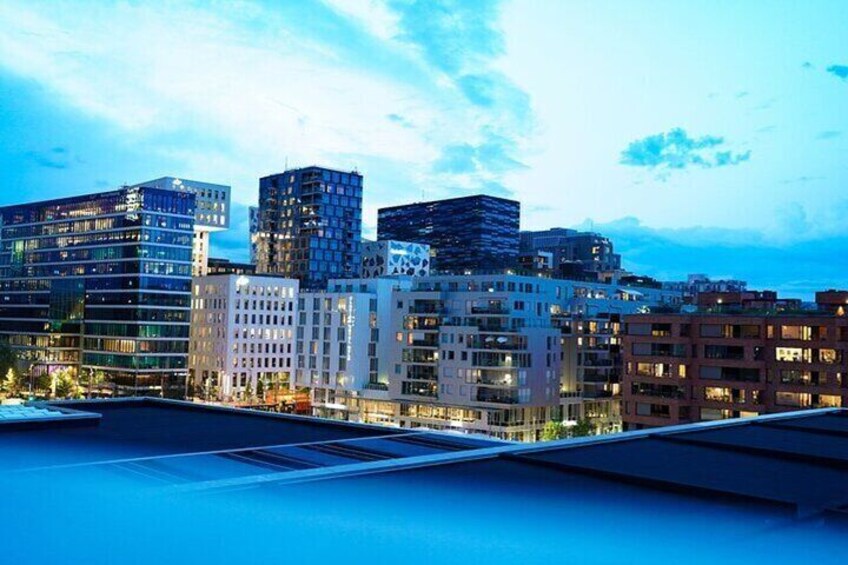 Private Walking Tour in Oslo with Personal Guide