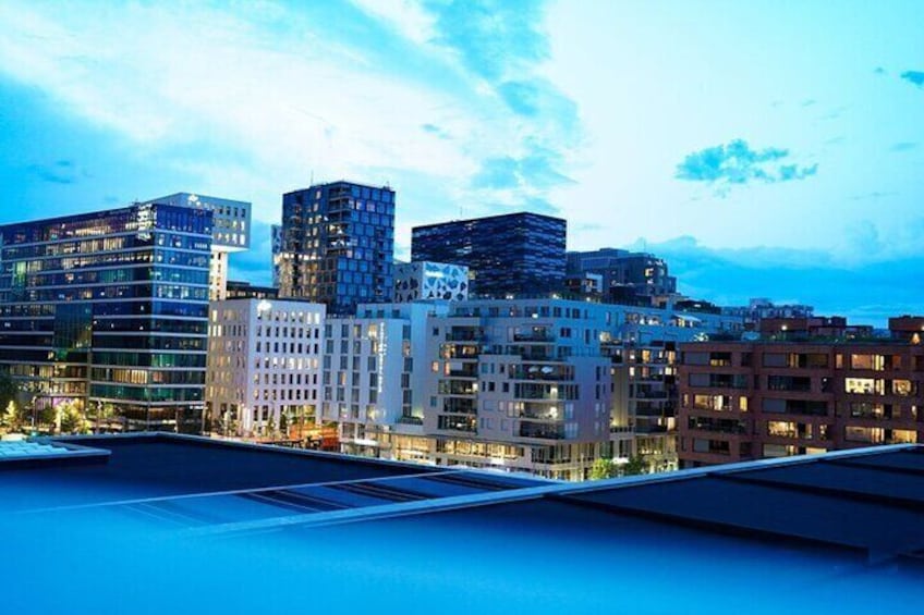 Private Walking Tour in Oslo with Personal Guide