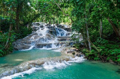 Tour privado por el río Dunn desde Montego Bay
