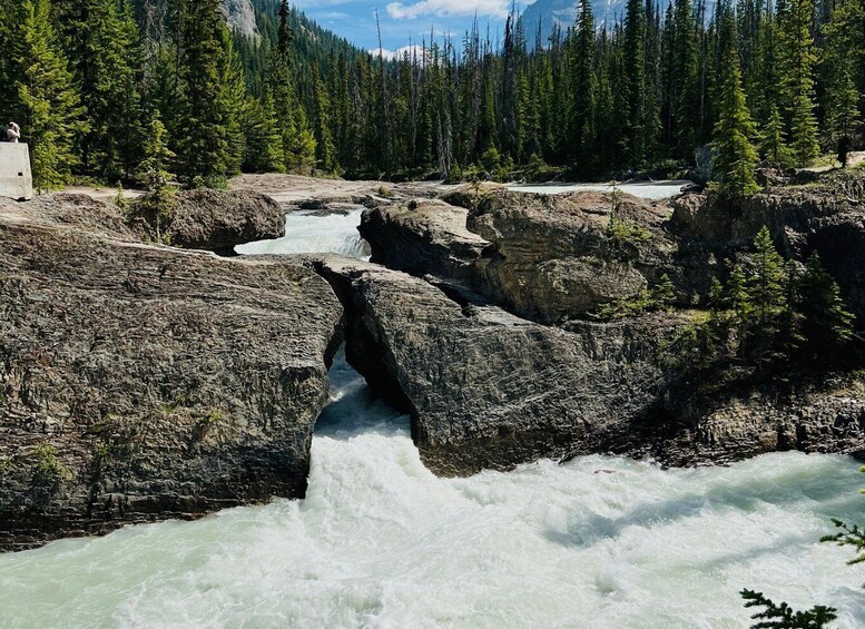 Picture 4 for Activity Banff: Moraine Lake, Lake Louise, Emerald Lake and Yoho Trip