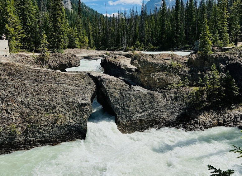 Picture 4 for Activity Banff: Moraine Lake, Lake Louise, Emerald Lake and Yoho Trip