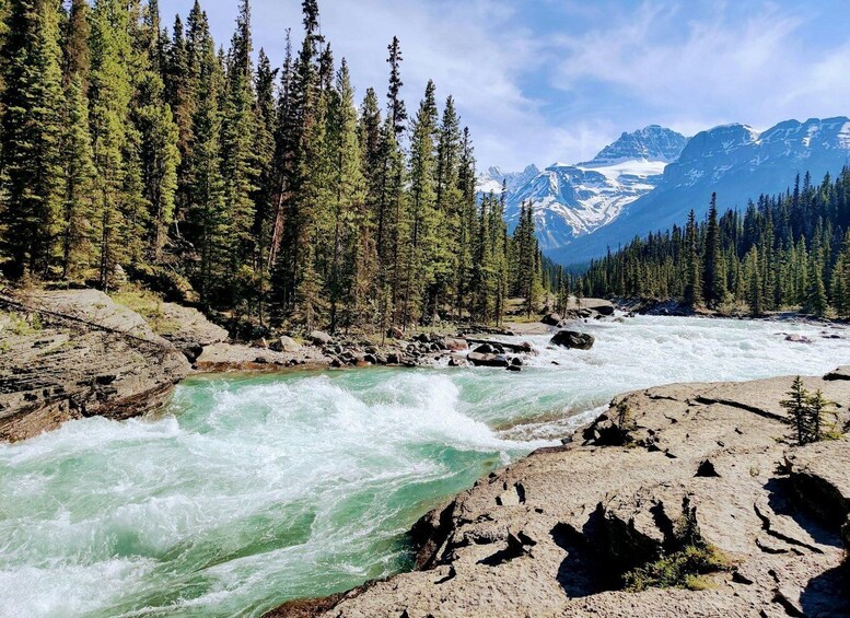 Picture 5 for Activity Banff/Canmore: Lake Louise, Moraine Lake & Emerald Lake Tour