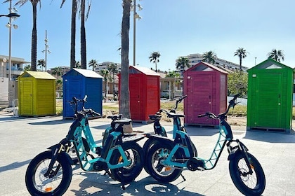 E-bike Tour: Beaches, & City of Arts and Sciences (From €30,00)