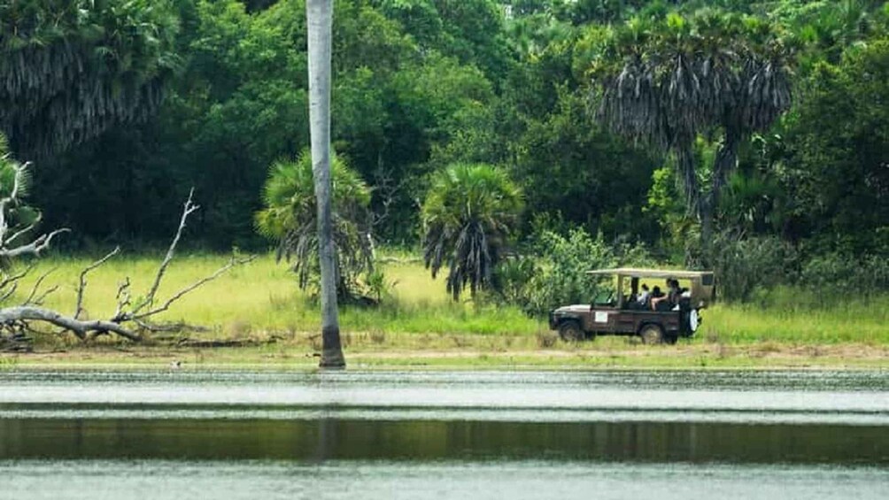 Picture 11 for Activity Zanzibar -Selous National Park/ 1 - Day Safari with flights