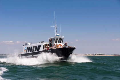 La Rochelle and its 3 ports (1h45)