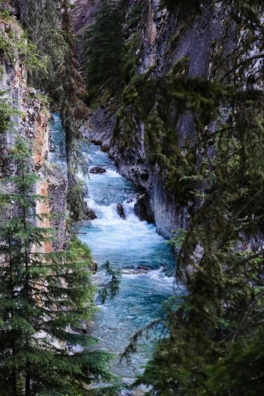 Picture 4 for Activity Banff/Canmore: Lake Louise, Moraine Lake & Johnston Canyon