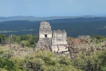 Aventura Maya: Tikal en un Día