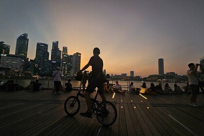 Singapore Light to Night Bike Tour