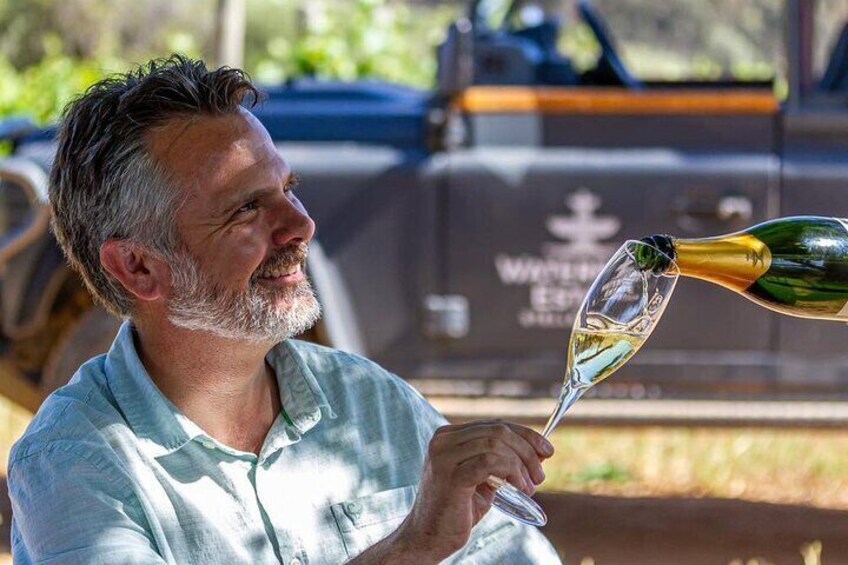 Exclusive Wine Journey with Expert Guide through Cape Winelands